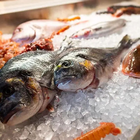 In - Insel Krk 42235 * Klimno